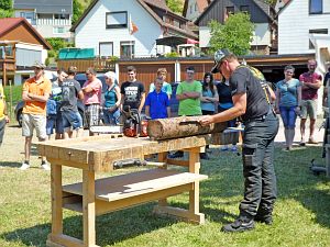 Waldfest WLS