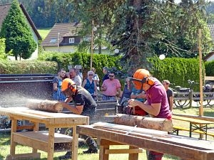Waldfest WLS