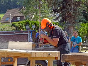 Waldfest WLS