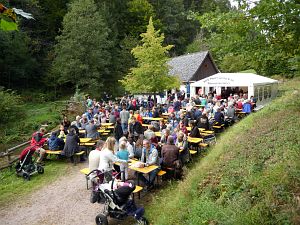 Zwiebelkuchenfest