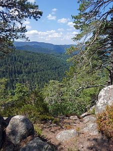 Wanderung zum Apfelfelsen