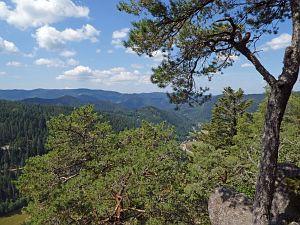 Wanderung zum Apfelfelsen