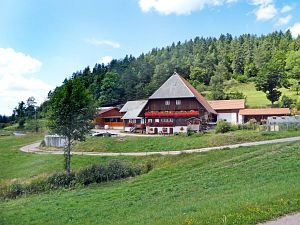 Wanderung zum Apfelfelsen