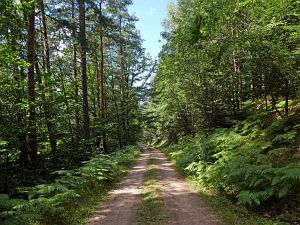 Wanderung zum Apfelfelsen