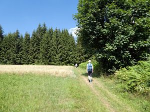 Wanderung zum Apfelfelsen