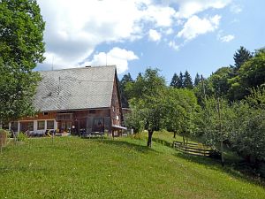 Wanderung zum Apfelfelsen