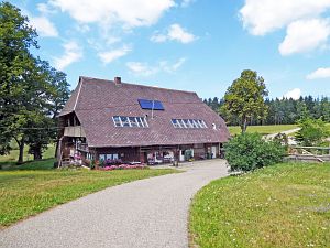 Wanderung zum Apfelfelsen