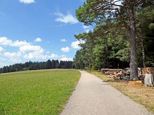 Wanderung zum Apfelfelsen
