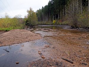 Ausbaggern See