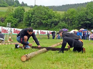 Baumsaegen Bachfest