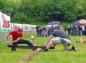 Baumsaegen Bachfest