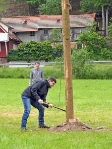 Baumsaegen Bachfest