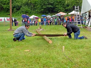 Baumsaegen Bachfest