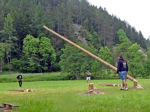 Baumsaegen Bachfest