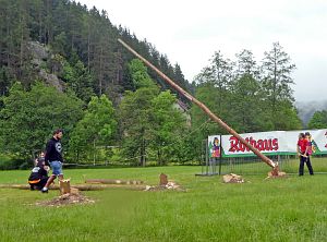 Baumsaegen Bachfest