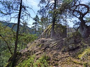 Felsen im Bernecktal