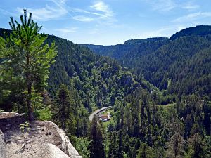 Felsen im Bernecktal