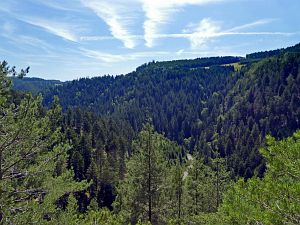 Felsen im Bernecktal