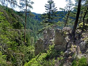 Felsen im Bernecktal
