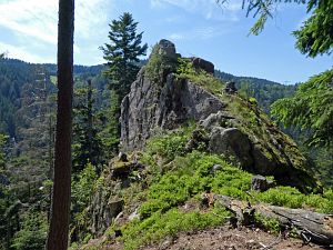 Felsen im Bernecktal
