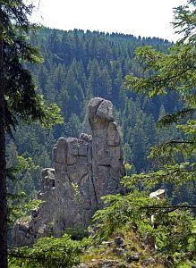Felsen im Bernecktal