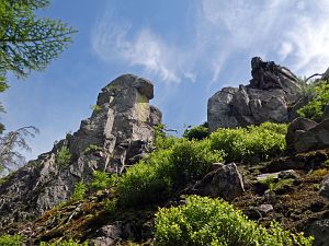 Felsen im Bernecktal