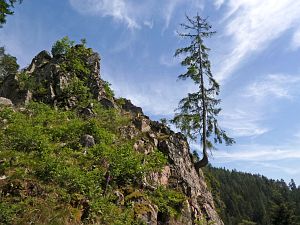 Felsen im Bernecktal