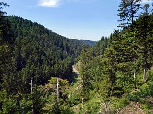 Felsen im Bernecktal