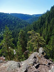 Felsen im Bernecktal