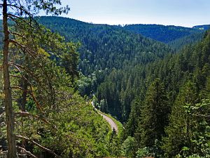 Felsen im Bernecktal