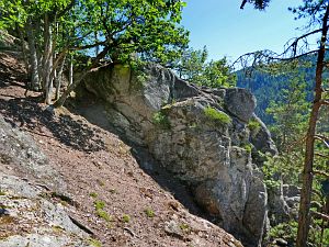 Felsen im Bernecktal