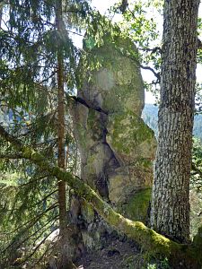 Felsen im Bernecktal