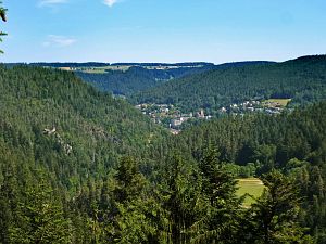 Felsen im Bernecktal