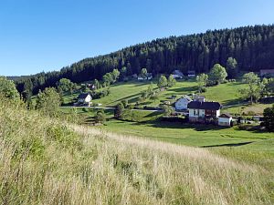 Spaziergang Eichbachtal