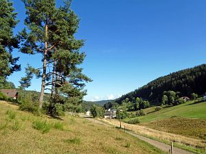Spaziergang Eichbachtal