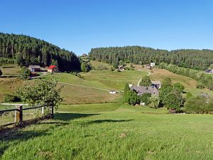 Spaziergang Eichbachtal