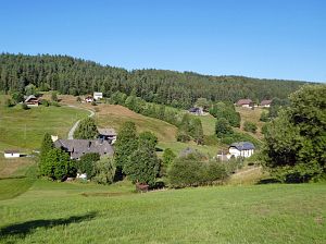 Spaziergang Eichbachtal