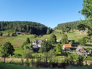 Spaziergang Eichbachtal