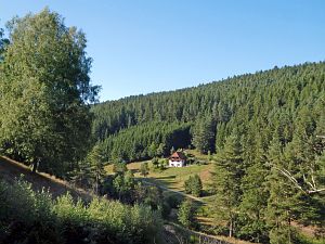 Spaziergang Eichbachtal