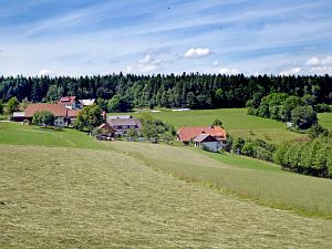 Heibet in Tennenbronn