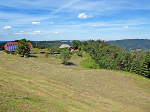 Heibet in Tennenbronn