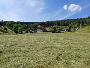 Heibet in Tennenbronn