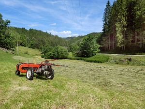 Heibet in Tennenbronn