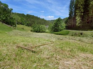 Heibet in Tennenbronn