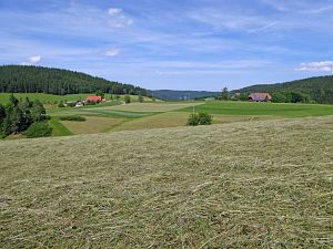 Heibet in Tennenbronn