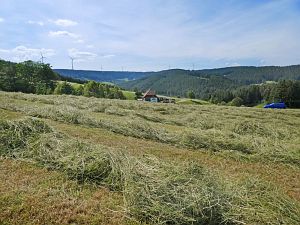 Heibet in Tennenbronn