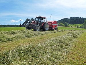 Heibet in Tennenbronn