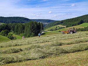 Heibet in Tennenbronn