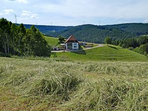 Heibet in Tennenbronn