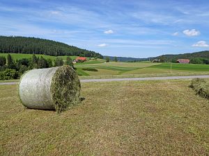 Heibet in Tennenbronn